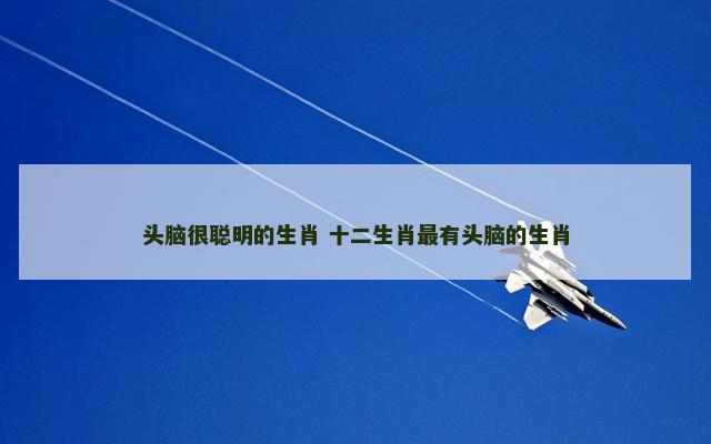 头脑很聪明的生肖 十二生肖最有头脑的生肖