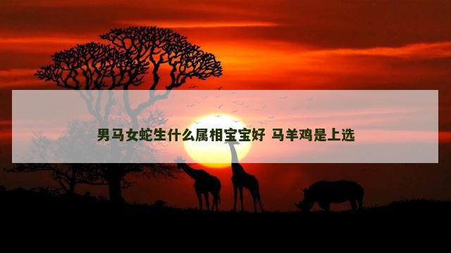 男马女蛇生什么属相宝宝好 马羊鸡是上选