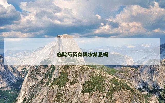 庭院芍药有风水禁忌吗