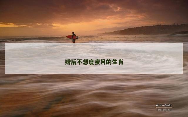 婚后不想度蜜月的生肖