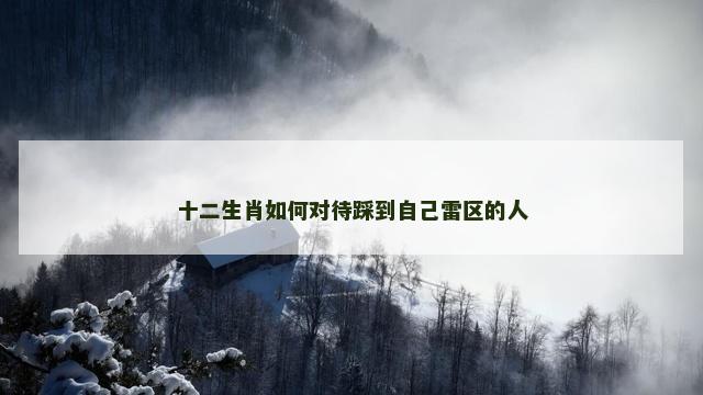 十二生肖如何对待踩到自己雷区的人