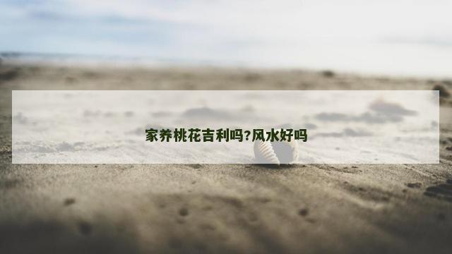 家养桃花吉利吗?风水好吗
