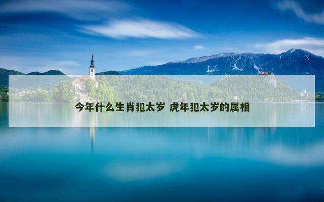 今年什么生肖犯太岁 虎年犯太岁的属相