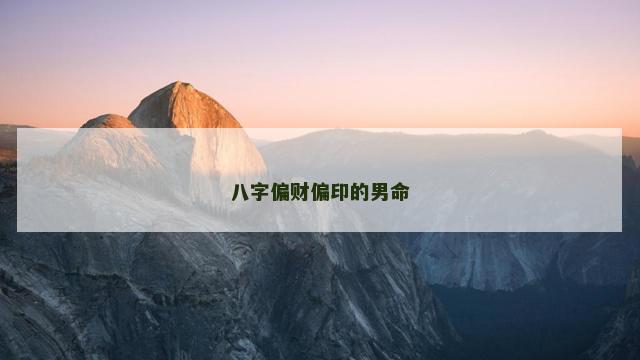 八字偏财偏印的男命