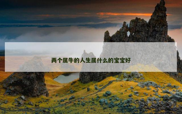 两个属牛的人生属什么的宝宝好