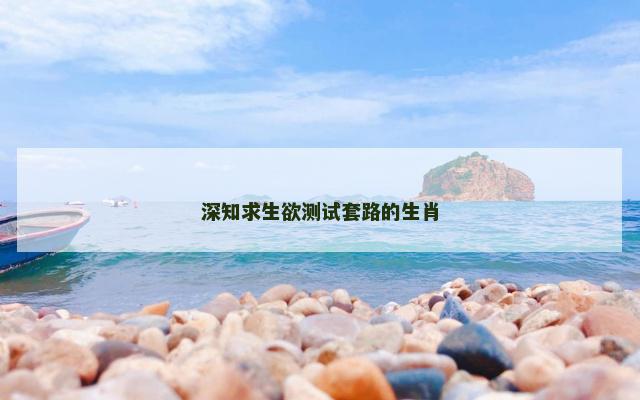 深知求生欲测试套路的生肖