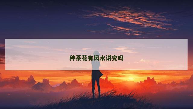 种茶花有风水讲究吗