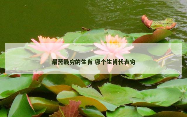 最苦最穷的生肖 哪个生肖代表穷