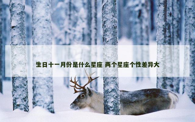 生日十一月份是什么星座 两个星座个性差异大　