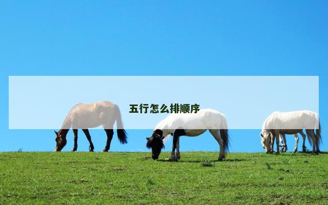 五行怎么排顺序