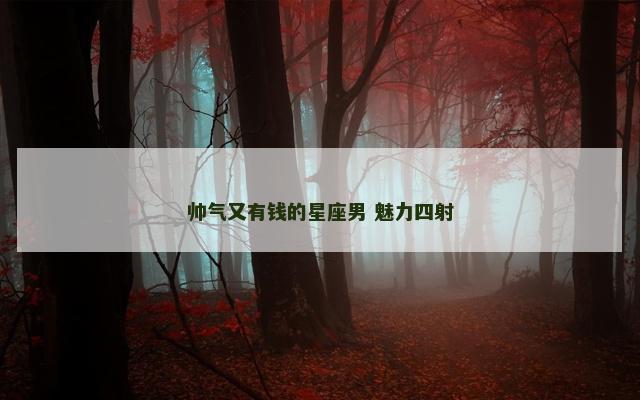 帅气又有钱的星座男 魅力四射