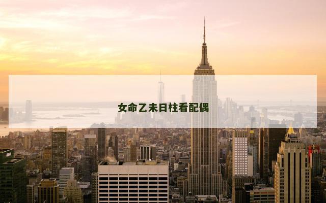 女命乙未日柱看配偶