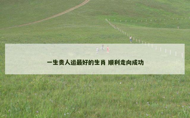 一生贵人运最好的生肖 顺利走向成功