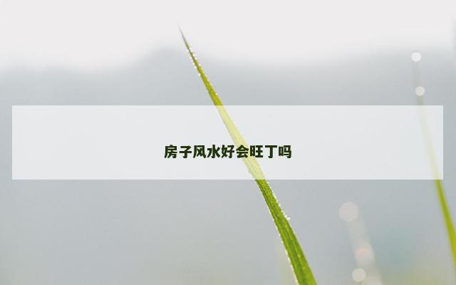 房子风水好会旺丁吗