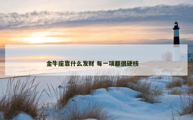 金牛座靠什么发财 每一项都很硬核 　　