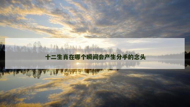 十二生肖在哪个瞬间会产生分手的念头