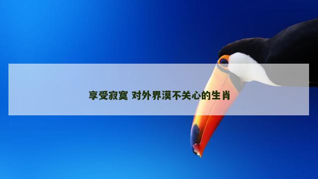 享受寂寞 对外界漠不关心的生肖