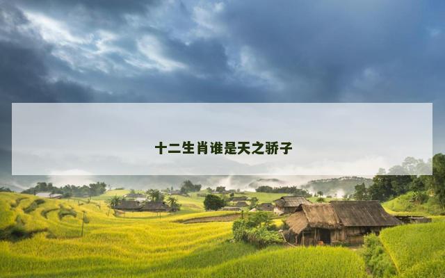 十二生肖谁是天之骄子