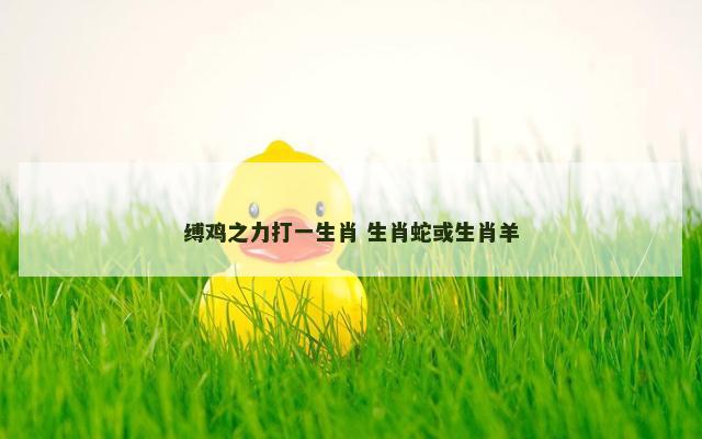 缚鸡之力打一生肖 生肖蛇或生肖羊