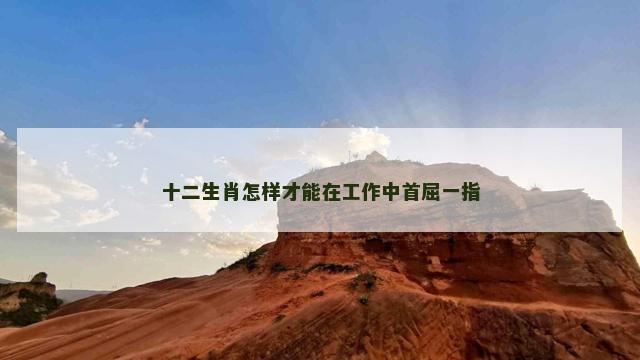 十二生肖怎样才能在工作中首屈一指