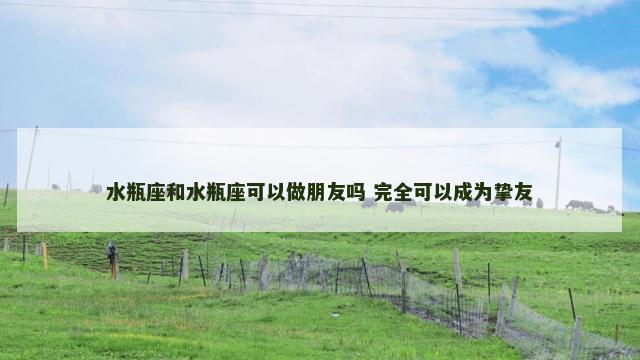 水瓶座和水瓶座可以做朋友吗 完全可以成为挚友