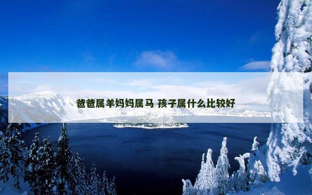 爸爸属羊妈妈属马 孩子属什么比较好