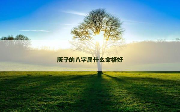 庚子的八字属什么命格好