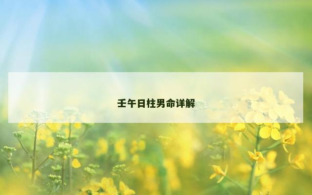 壬午日柱男命详解