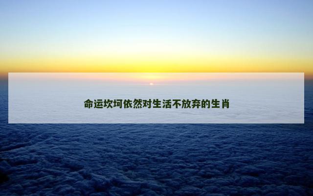 命运坎坷依然对生活不放弃的生肖
