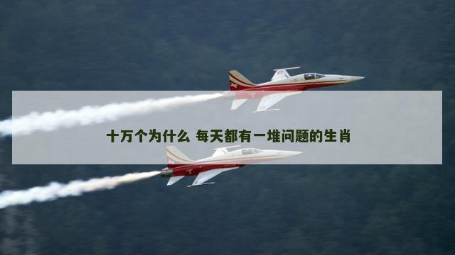 十万个为什么 每天都有一堆问题的生肖