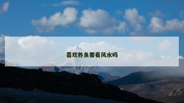 喜欢养鱼要看风水吗
