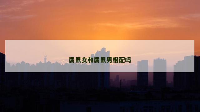 属鼠女和属鼠男相配吗