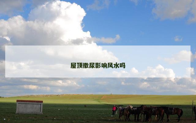 屋顶撒尿影响风水吗