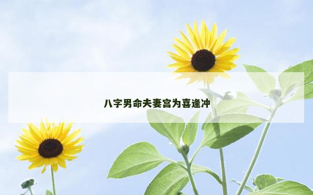 八字男命夫妻宫为喜逢冲