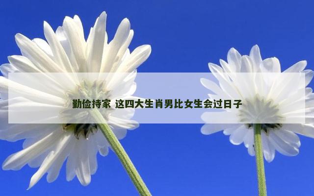 勤俭持家 这四大生肖男比女生会过日子