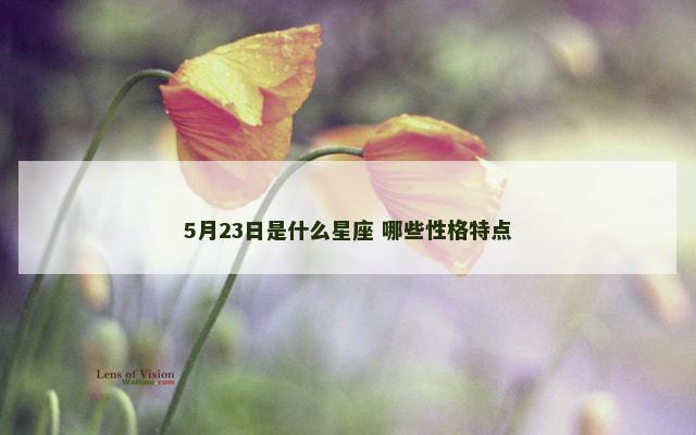 5月23日是什么星座 哪些性格特点