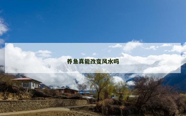 养鱼真能改变风水吗