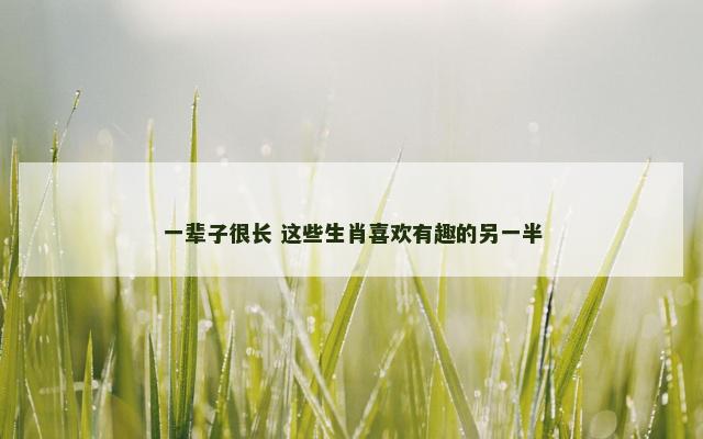 一辈子很长 这些生肖喜欢有趣的另一半
