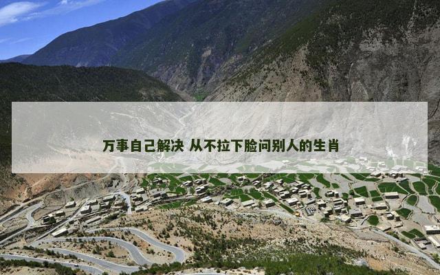 万事自己解决 从不拉下脸问别人的生肖