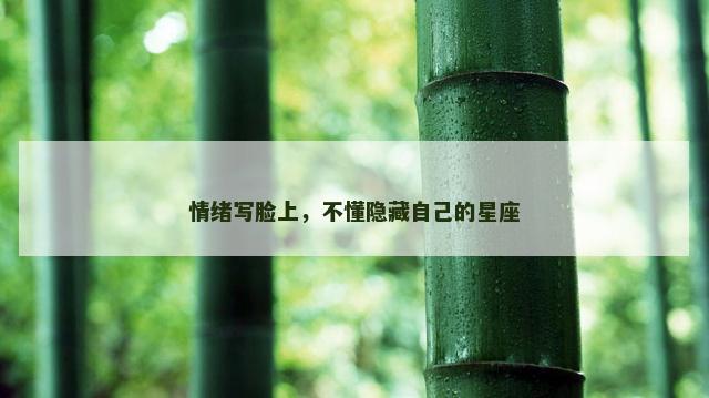 情绪写脸上，不懂隐藏自己的星座