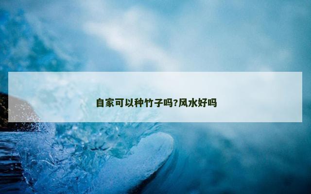 自家可以种竹子吗?风水好吗