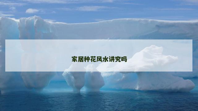 家居种花风水讲究吗
