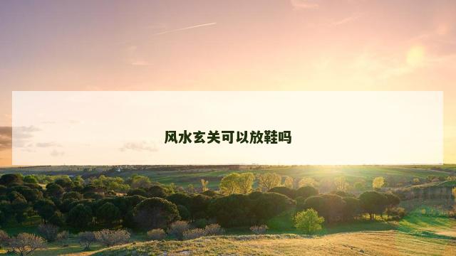 风水玄关可以放鞋吗