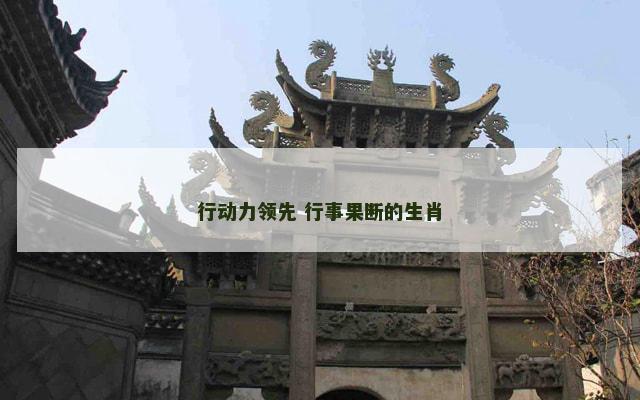 行动力领先 行事果断的生肖