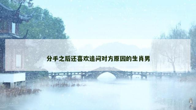 分手之后还喜欢追问对方原因的生肖男