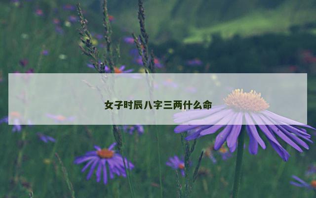 女子时辰八字三两什么命