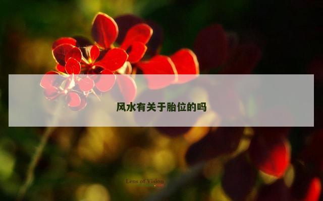 风水有关于胎位的吗