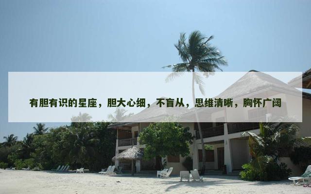 有胆有识的星座，胆大心细，不盲从，思维清晰，胸怀广阔