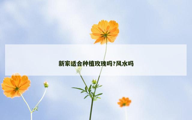 新家适合种植玫瑰吗?风水吗
