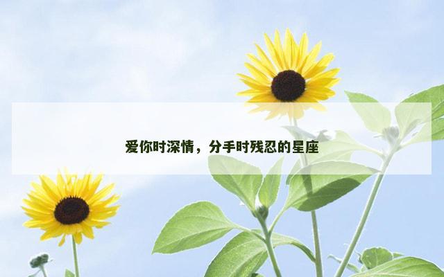 爱你时深情，分手时残忍的星座